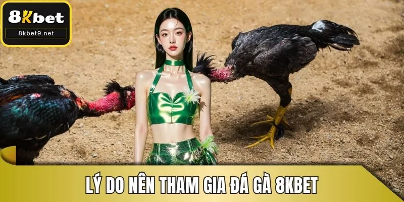 Lý do nên tham gia đá gà 8KBET