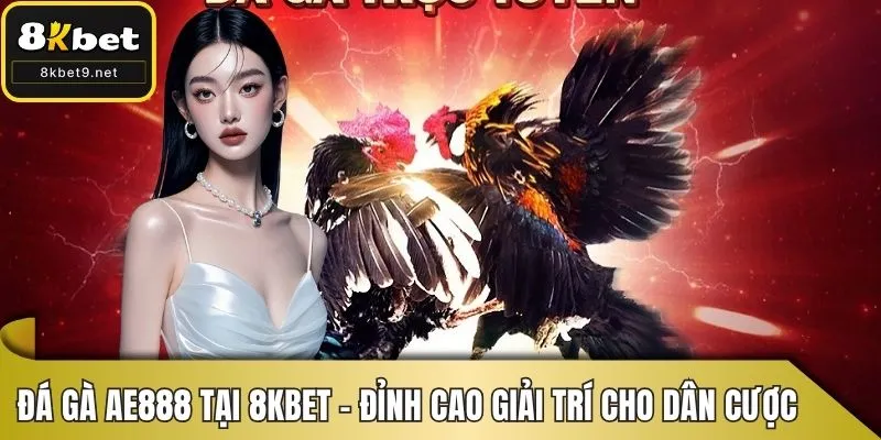 dá gà ae888