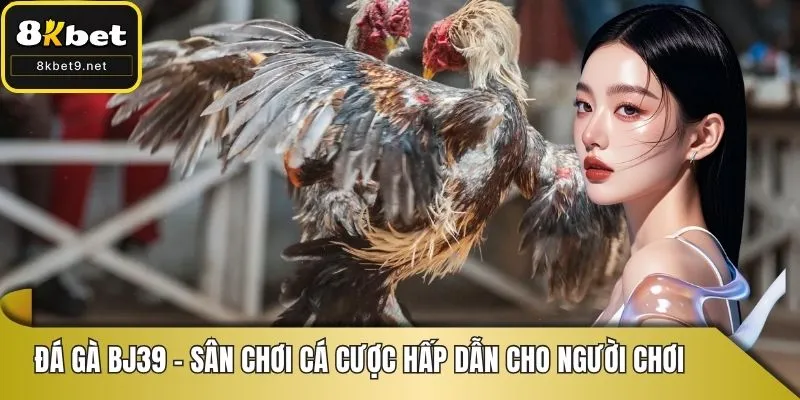 đá gà bj39