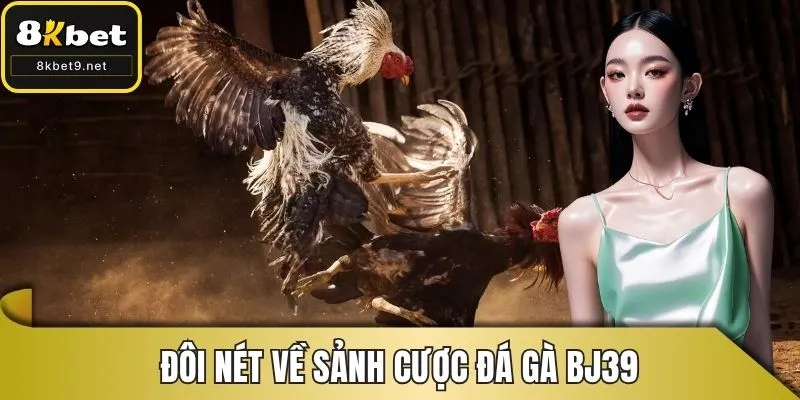 Đôi nét về sảnh cược đá gà BJ39
