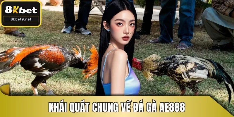 Khái quát chung về đá gà AE888
