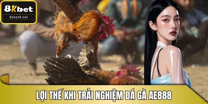 Lợi thế khi trải nghiệm đá gà AE888
