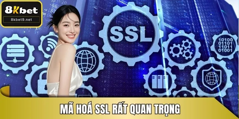 Mã hoá SSL rất quan trọng