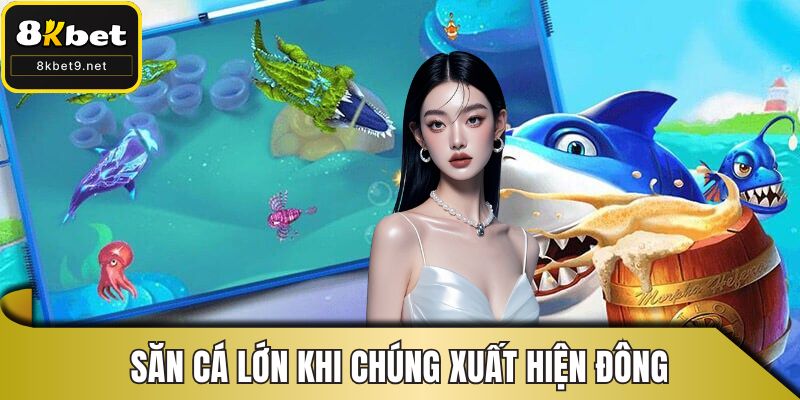 Săn cá lớn khi chúng xuất hiện đông