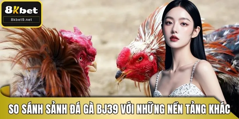 So sánh sảnh đá gà BJ39 với những nền tảng khác